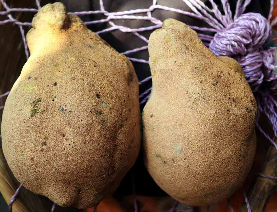 13 frutas exóticas que puedes encontrar en el mercado Central de San