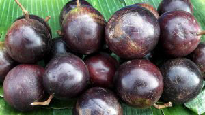 13 frutas exóticas que puedes encontrar en el mercado Central de San  Salvador, ¿las has probado? | Noticias de El Salvador - elsalvador.com