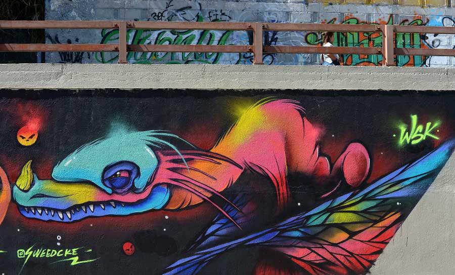Grafittis-Constitución-05-JR-