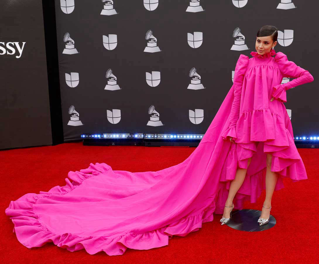20th Annual Latin GRAMMY Awards - Arrivals