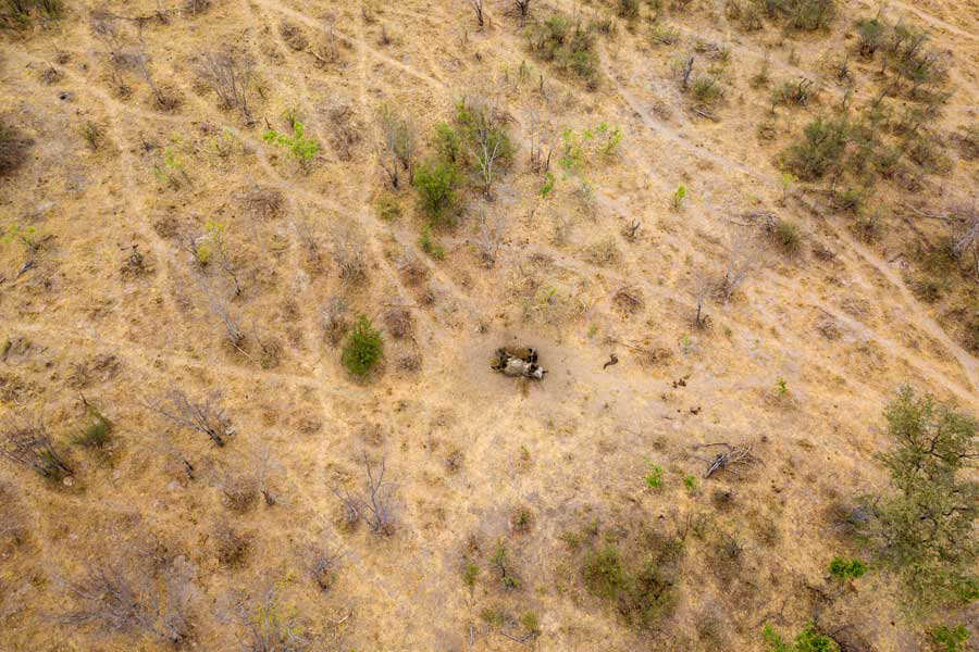 ZIMBABWE-ENVIRONMENT-DROUGHT