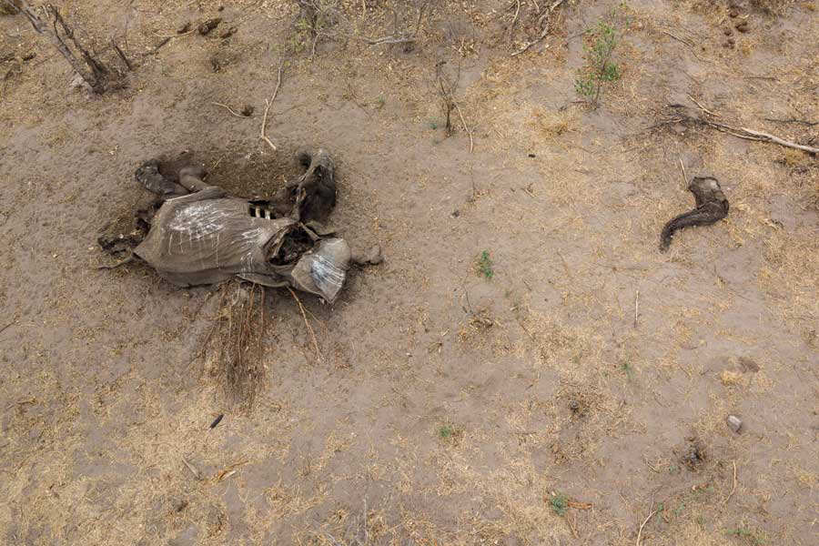 ZIMBABWE-ENVIRONMENT-DROUGHT