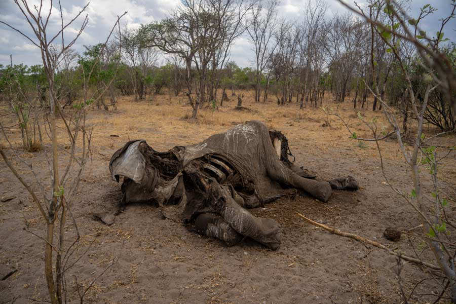 ZIMBABWE-ENVIRONMENT-DROUGHT