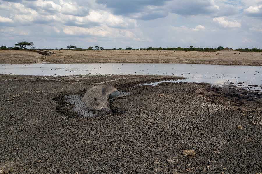 ZIMBABWE-ENVIRONMENT-DROUGHT