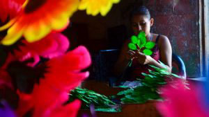 YH Flores enceradas en Quezaltepeque