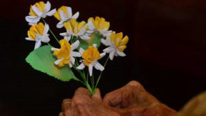 YH Flores enceradas en Quezaltepeque