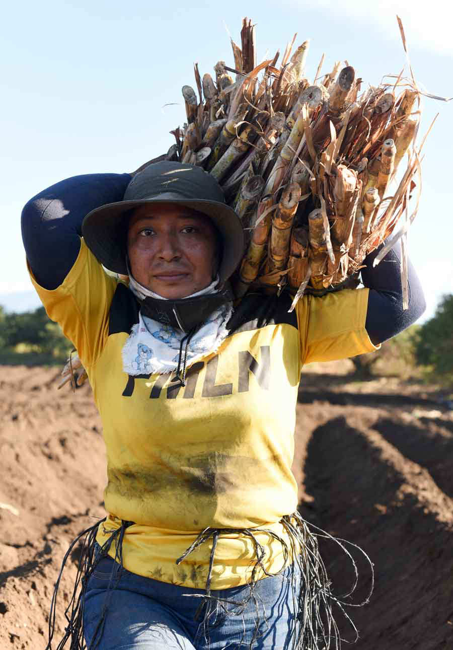 Como Tirarle La Caña A Una Chica