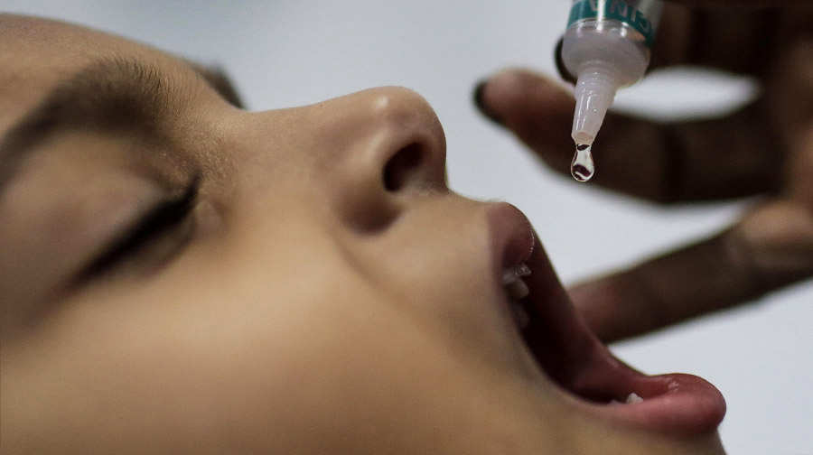 descripci�n de la imagen