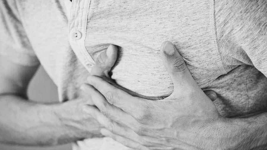 cuánto debe medir la próstata sana y saludable cuánto debe medir la próstata sana y saludable