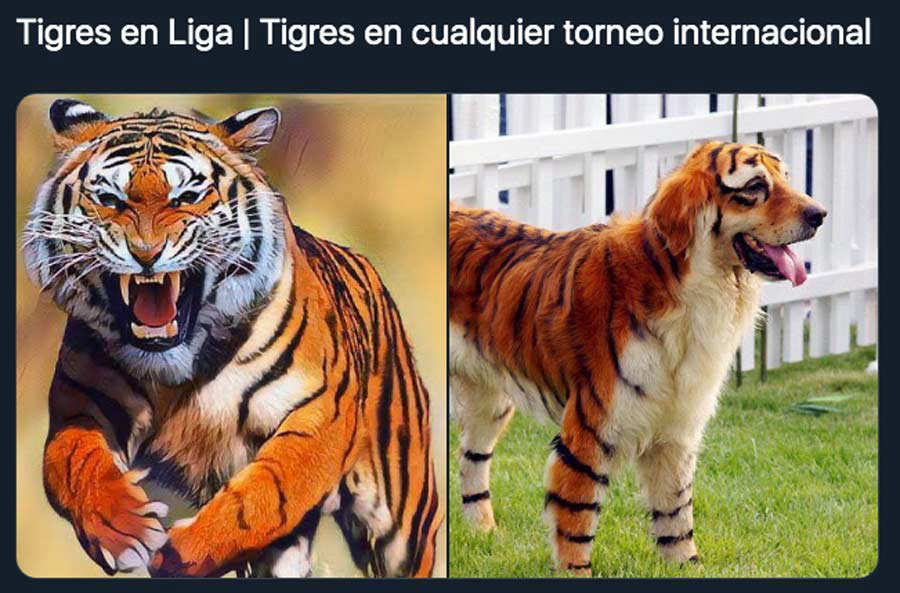 Memes Del Tigre