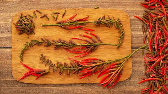 Las Frutas De Temporada En El Salvador ¿cuál Es Tu Favorita