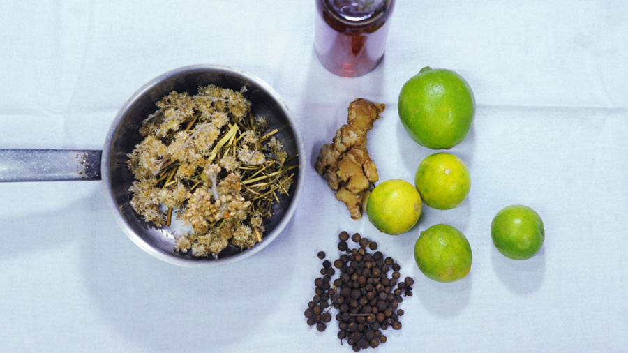 Infusiones