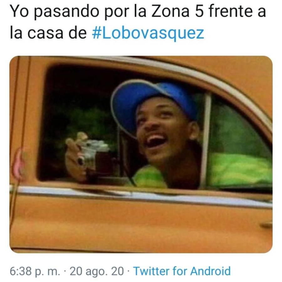 lobo2