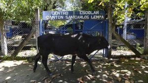 Asamblea destina $400,000 a CEL para financiar equipos productores de biogás en escuelas públicas