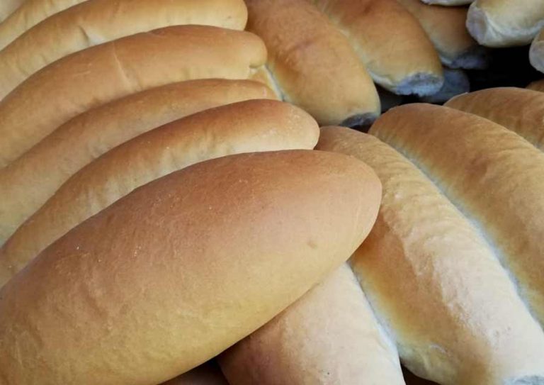 Los Molina llevan tres décadas elaborando el pan de Nochebuena en San Juan Opico Noticias de