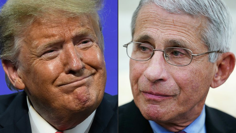 Anthony Fauci’s Confessions About His Relationship With Trump: Reuniting With His Family And Receiving One With A Blonde Extraordinary |  El Salvador News