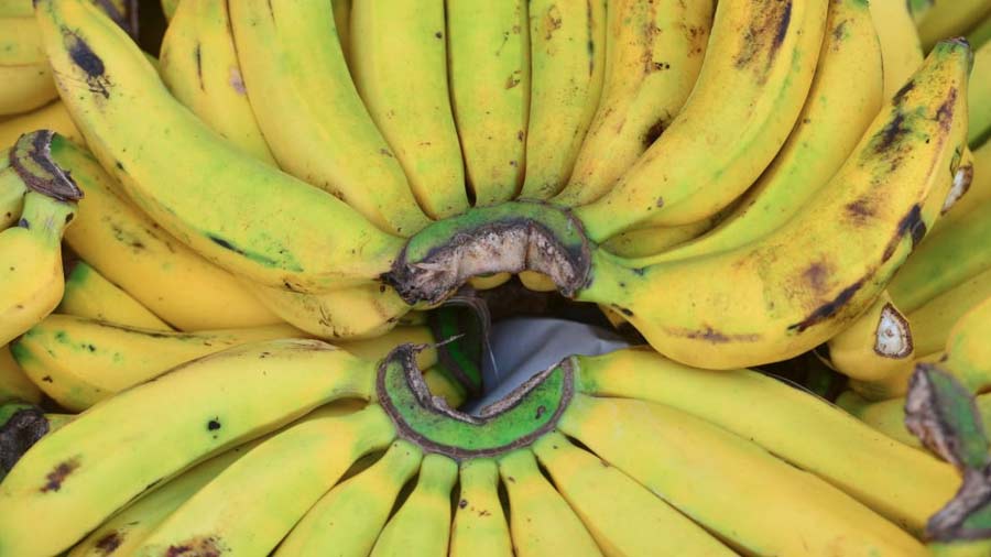 Precios-de-las-frutas-de-temprada-en-el-mercado-central