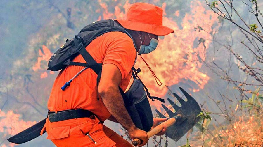 Incendio_fuego_ morazán, cuerpos de socorro_ bomberos