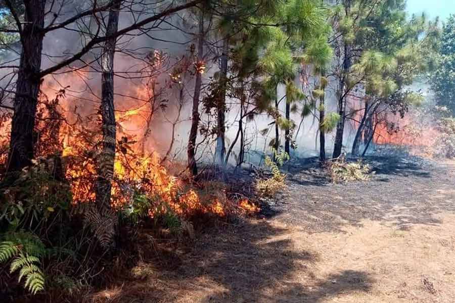 incendio forestal Montanona Chalatenango_04