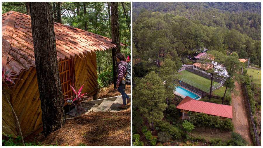 descripci�n de la imagen