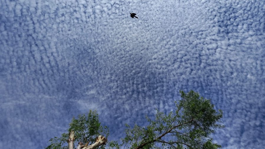 What are the cirrocumulus, the cloud formation that was seen on Tuesday morning?