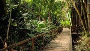 ¿Sin dinero en estas vacaciones? Cinco económicos destinos para disfrutar en familia