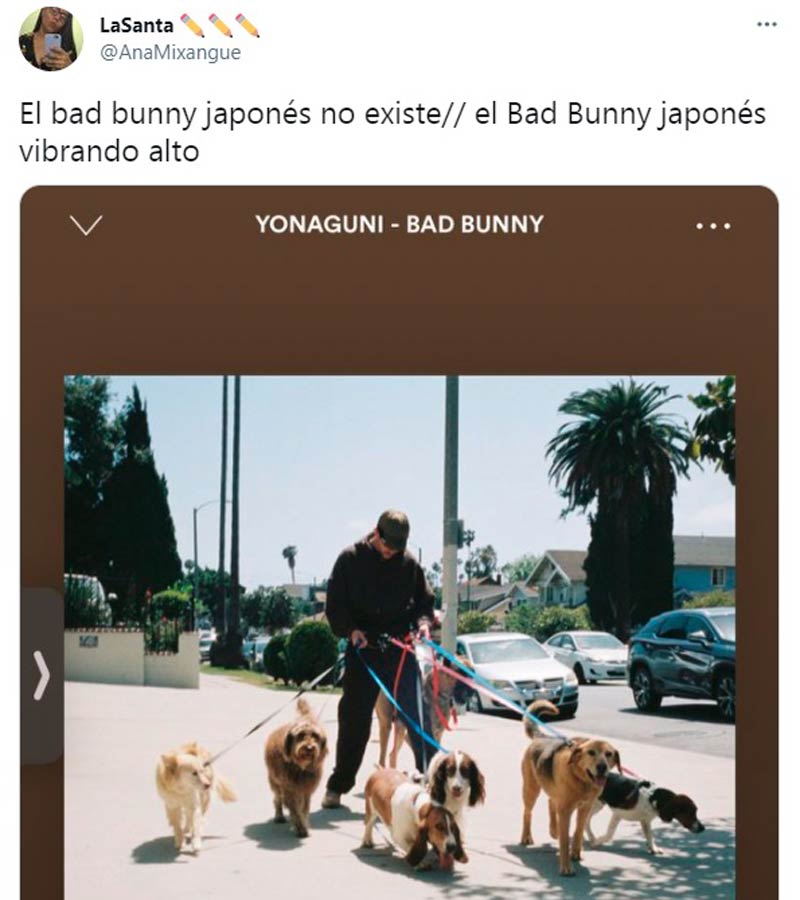 1 bad-bunny-memes-canta-japones