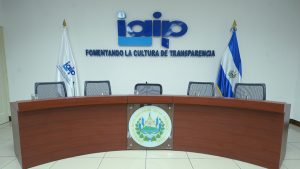 El IAIP está cooptado por Nuevas Ideas, afirma relator de expresión de APES