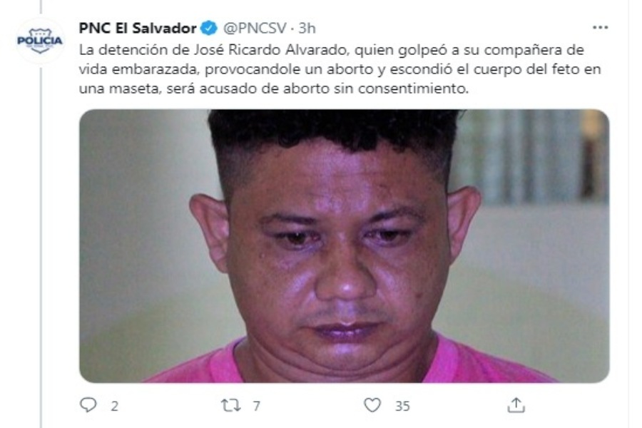 Sujeto esconde feto en maceta tras dar golpiza a madre en Metapán |  Noticias de El Salvador