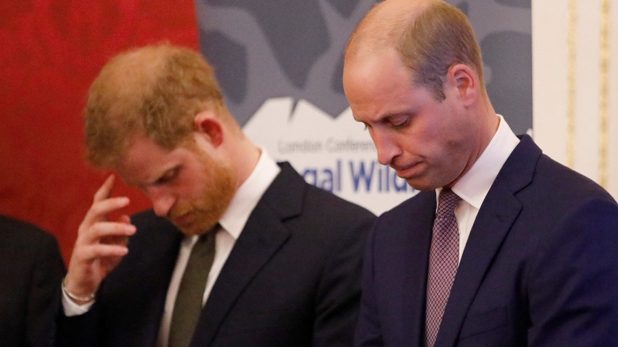 Príncipes Harry y William de Inglaterra