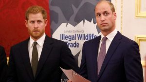 Príncipes William y Harry de Inglaterra
