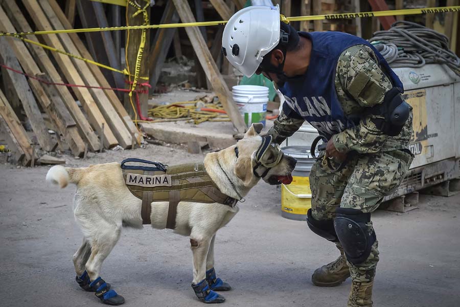 MEXICO-QUAKE-RESCUE-DOG-FRIDA