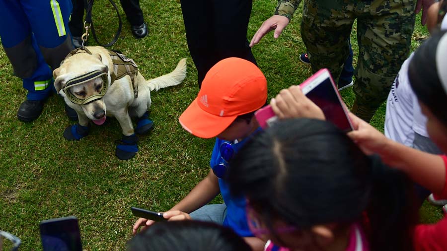 MEXICO-QUAKE-RESCUE DOGS-ACKNOWLEDGMENT