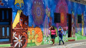 Ruta de las flores colorida