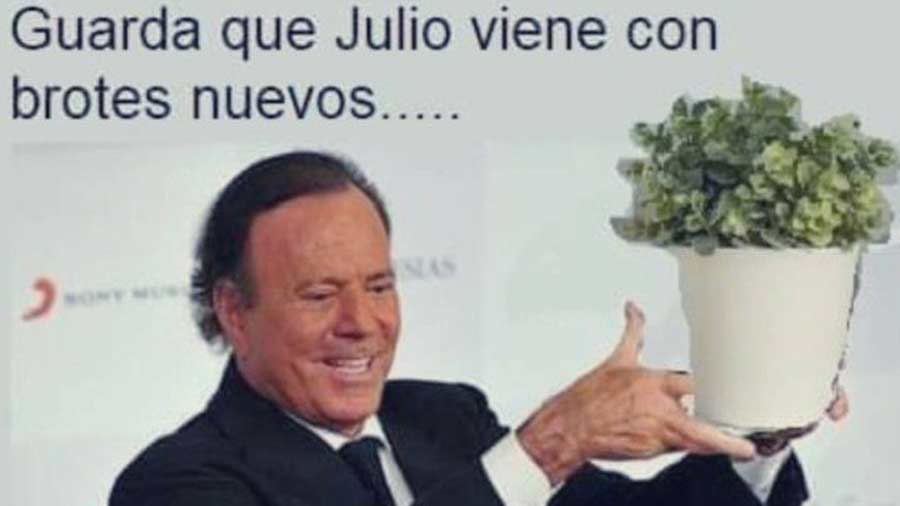 Julio-Iglesias-memes-trending-04