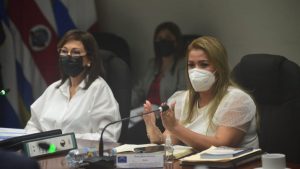 Diputada de ARENA por "burlas" en su contra del oficialismo: “Se inquietan tanto que la comparación de una concha con limón es poca”