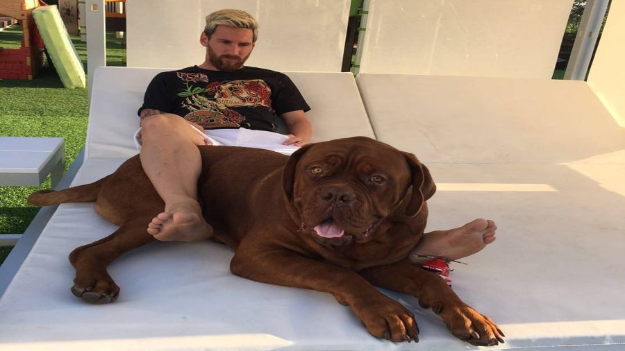 ¿Qué pasó con Hulk el perro de Messi
