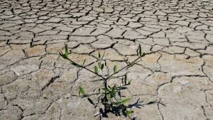EEUU considera "irresponsable" que China decidiera suspender diálogo sobre cambio climático