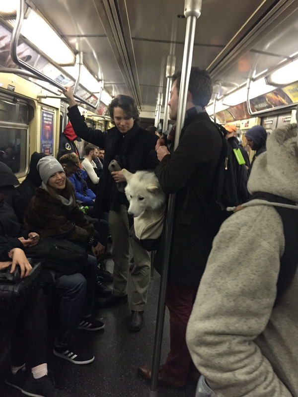 mascotas-en-bolsas-para-viajar-en-el-metro260