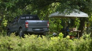 Mandan a prisión a 34 pandilleros ligados a fosa clandestina de Lourdes, Colón, de donde exhumaron ocho víctimas