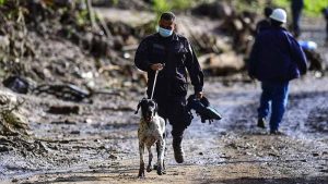 Furst, el agente canino que localizó a víctimas soterradas murió y fue enterrado con honores