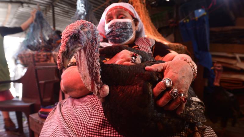 Comerciantes del Mercado Central ofrecen pavos desde $30, aunque muchas familias ahora optan por la gallina criolla para reducir gastos."