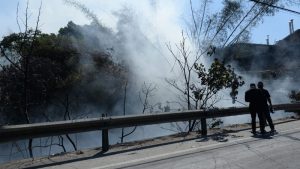 En La Unión hay 2,800 hectáreas entre maleza y terrenos forestales dañadas por los incendios