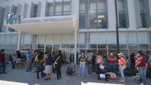 Hospital veterinario Chivo Pets
