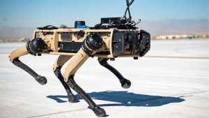 Perros robot para patrullar en frontera de Estados Unidos y México