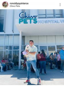 "No es gratis, hay unas formas de pago", dice el director del hospital veterinario sobre la atención a mascotas