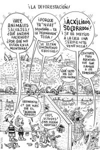 ¡La deforestación!