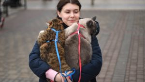 "No abandonen a sus animales". Ucranianos toman medidas urgentes para proteger a sus mascotas
