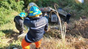 Camión que transportaba animales de granja se precipita a un barranco