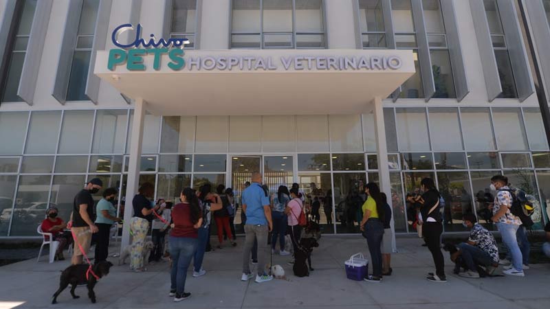 consutlas-en-chivo-pets-hospital-veterinario14